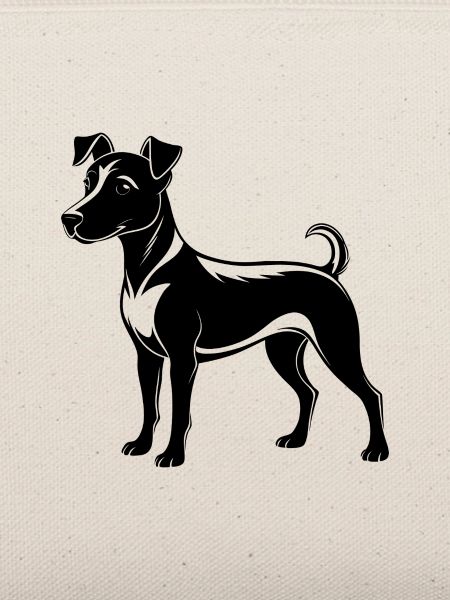 Süßer Jack Russell