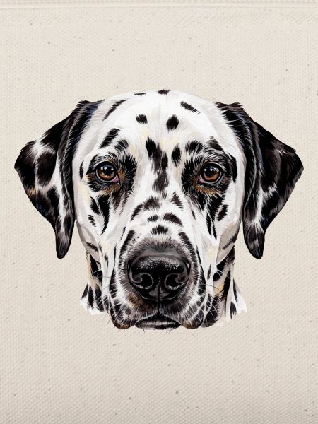 Dalmatiner Kopf Illustration