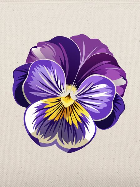 Stiefmütterchenblüte