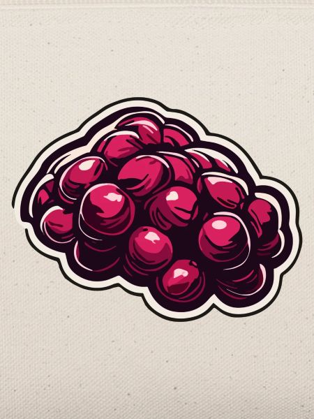 Lebensmittel / Obst / Markt / Vitamine / Design
