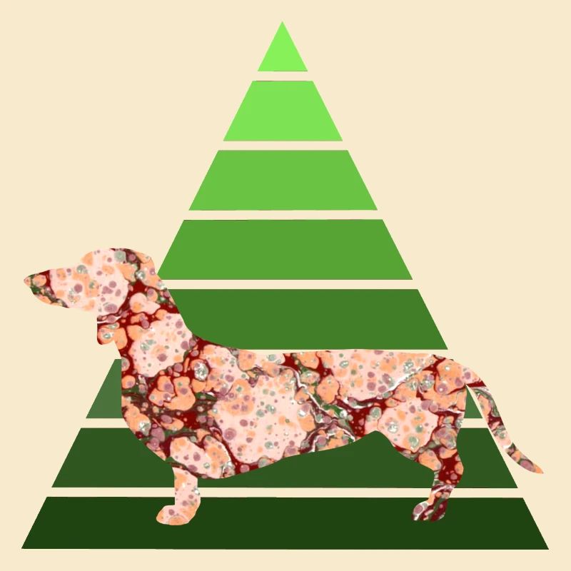 dachshund e 214