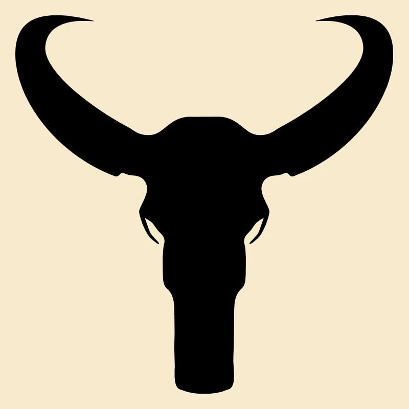 Bull Skeleton