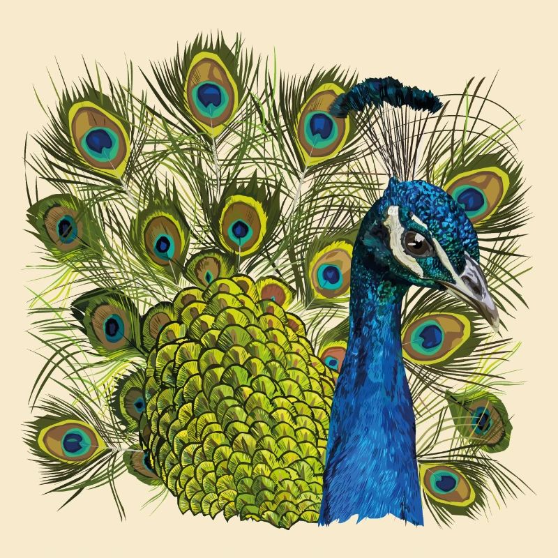 Pfau