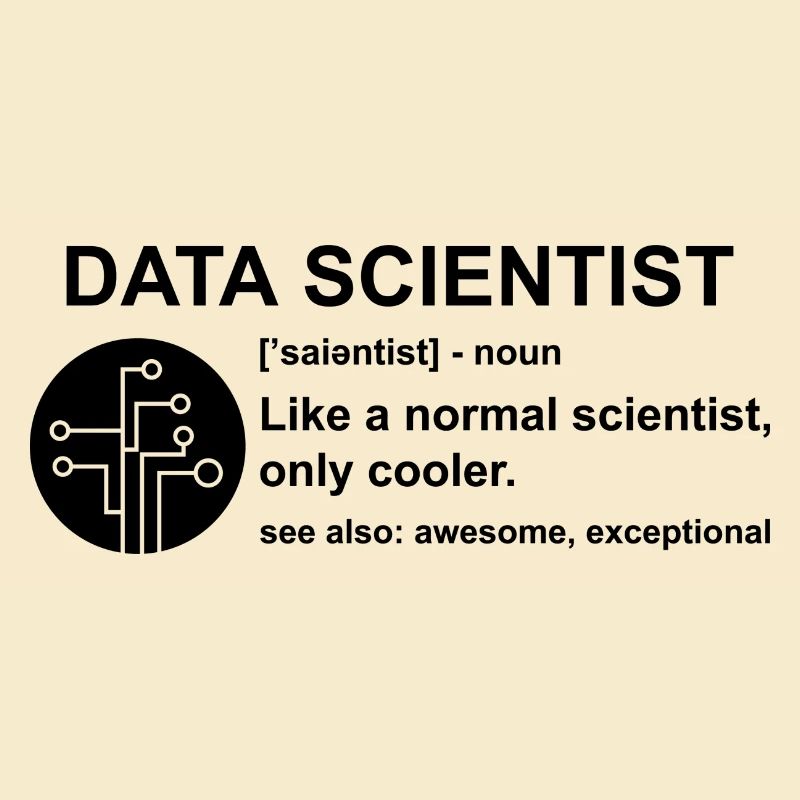 Data scientist computer science gift