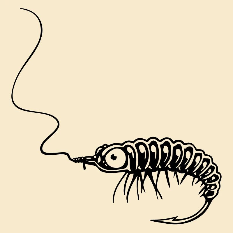 NYMPHE