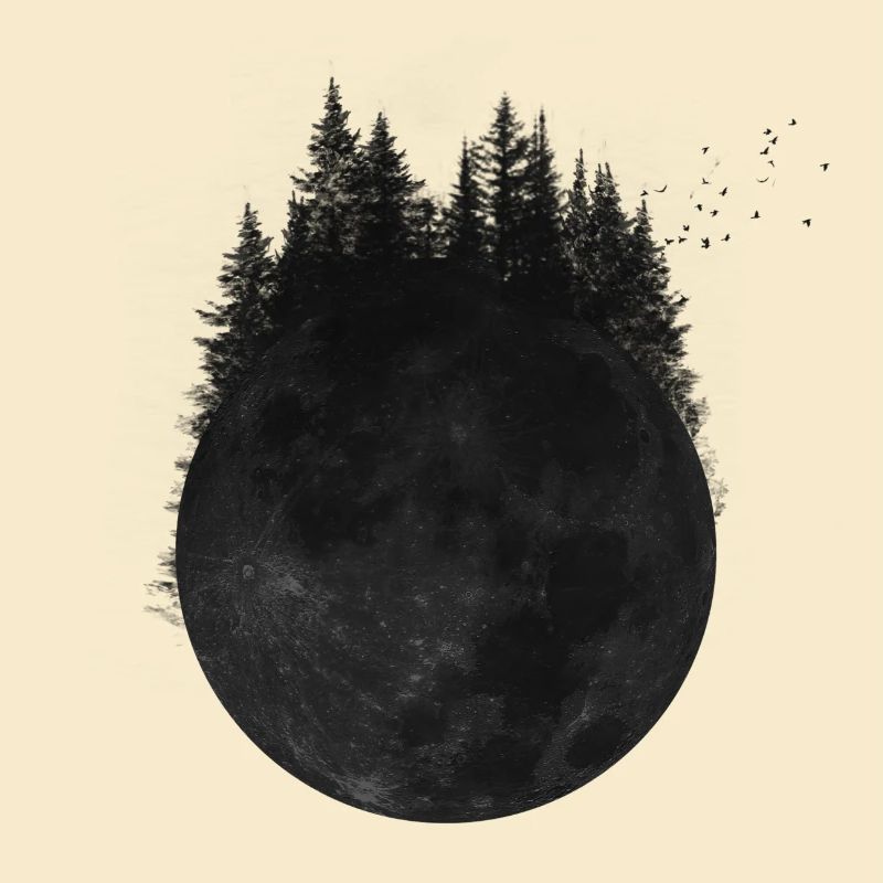 Forest moon