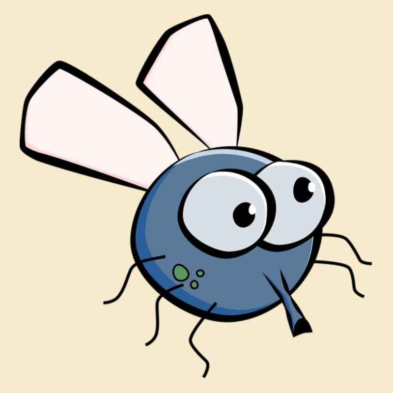 Fliege