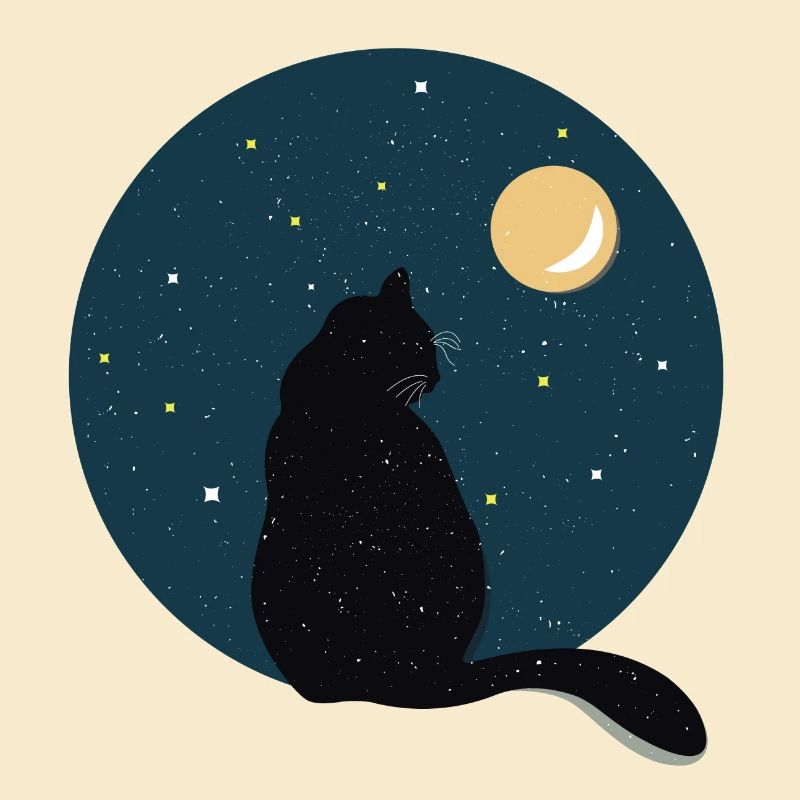 Chat noir devant la lune.