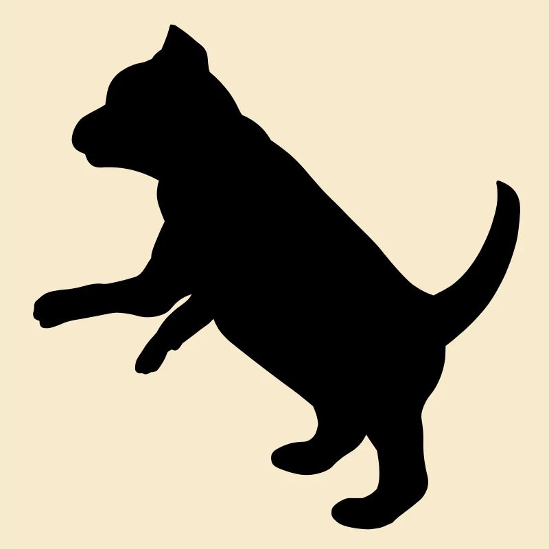 Ludique chiot