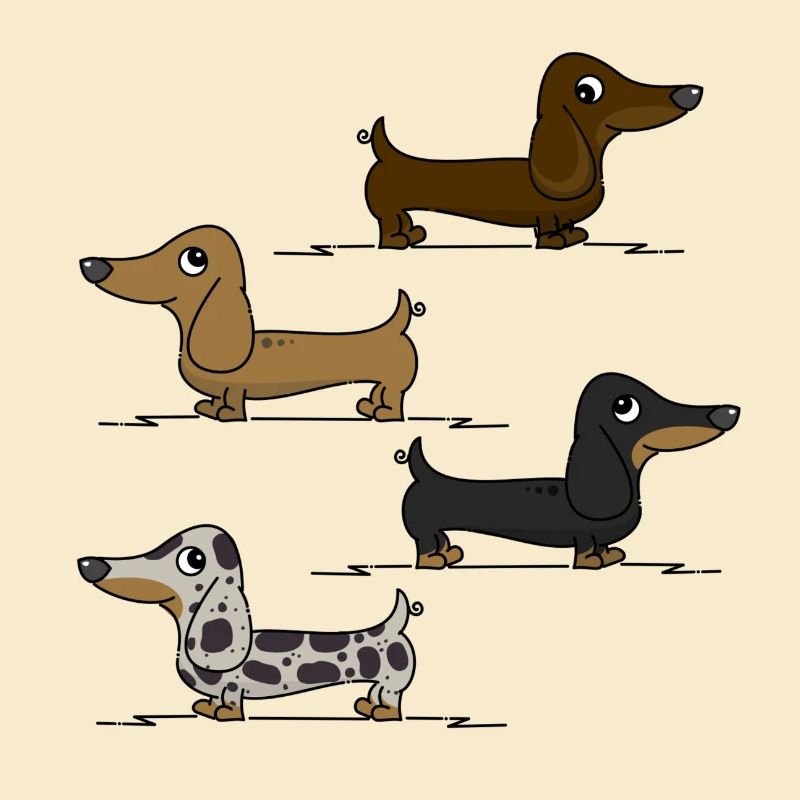 Dachshunds