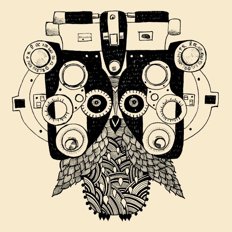 Phoropter owl on the eye test