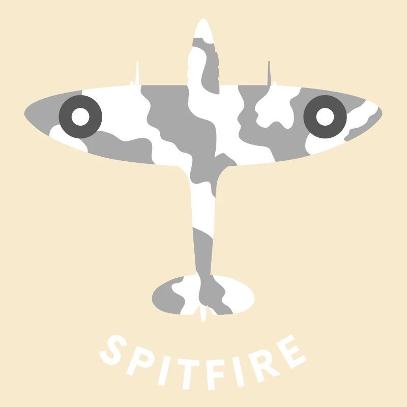 Spitfire-Jagdflugzeug