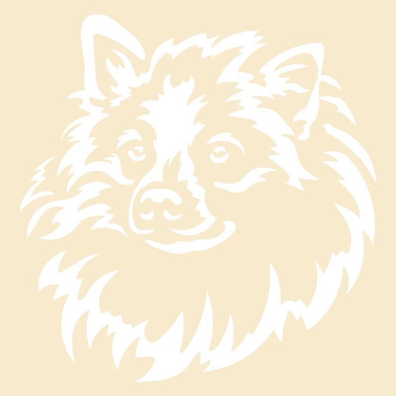 Spitz Kopf "Black Edition"