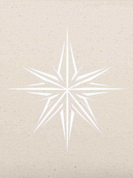 Minimalistischer Weihnachtsstern: Festliche