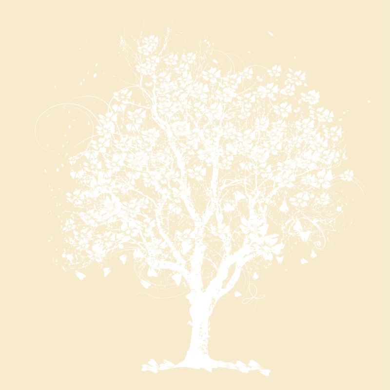Spring tree in bloom – black and white artwork