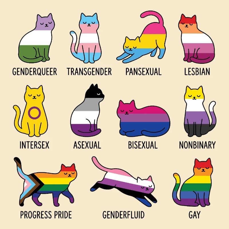 LGBTQ-Pride-Monat – Rainbow Cats