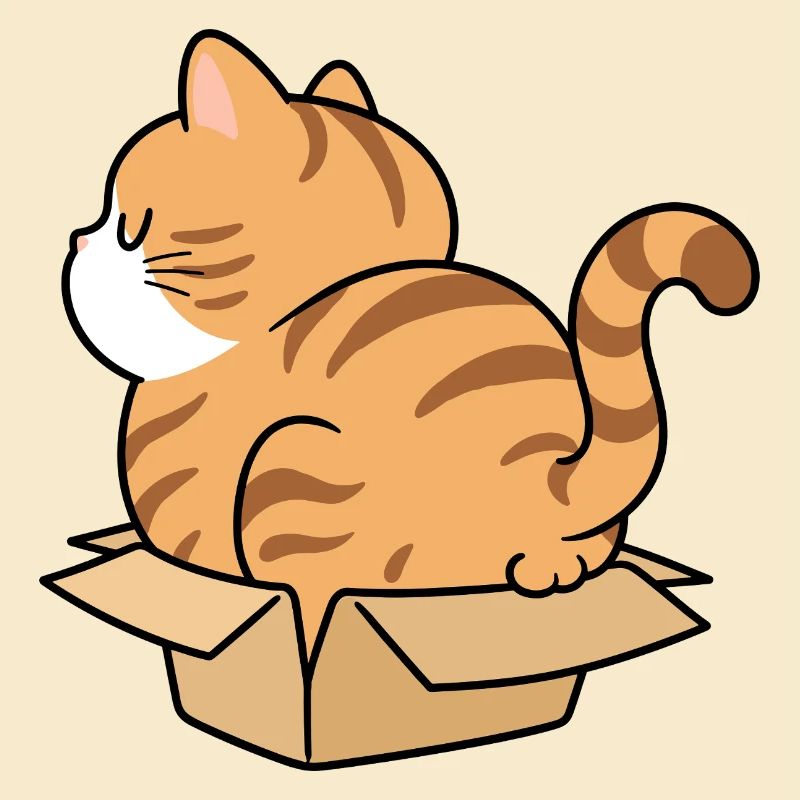Chaton dans une boîte