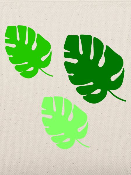 Monstera Blätter Trio Design