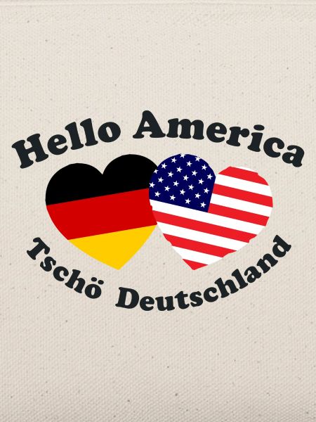 Die Auswanderer in Amerika
