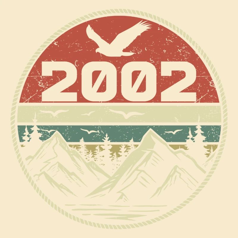 Vintage 2002 Classique 2002 rétro 2002 Cadeau 2002