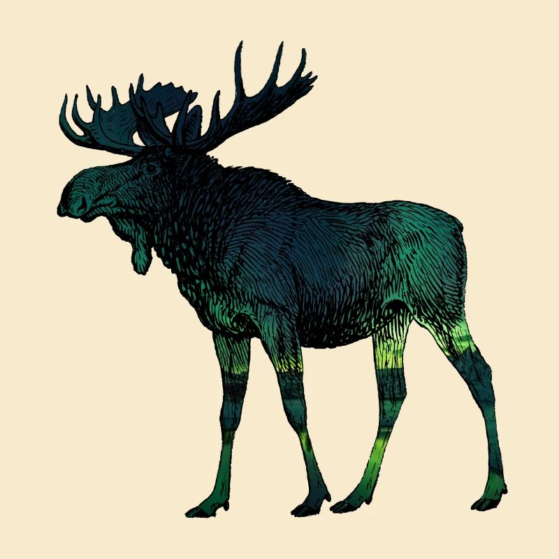 Moose 3