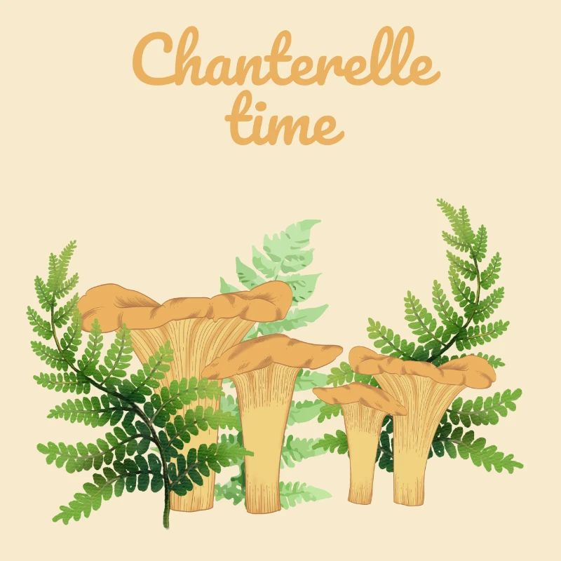 Girolles dans une forêt