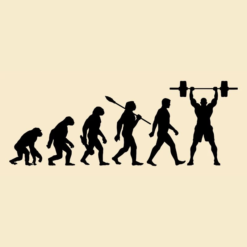 Evolution - Haltérophilie - Musculation