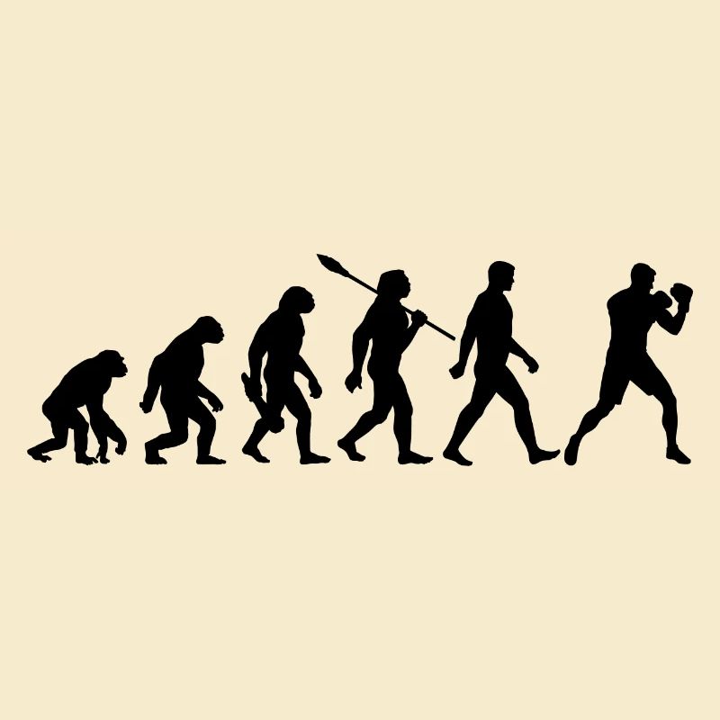 Evolution - Boxe, Arts martiaux, Entraînement de boxe
