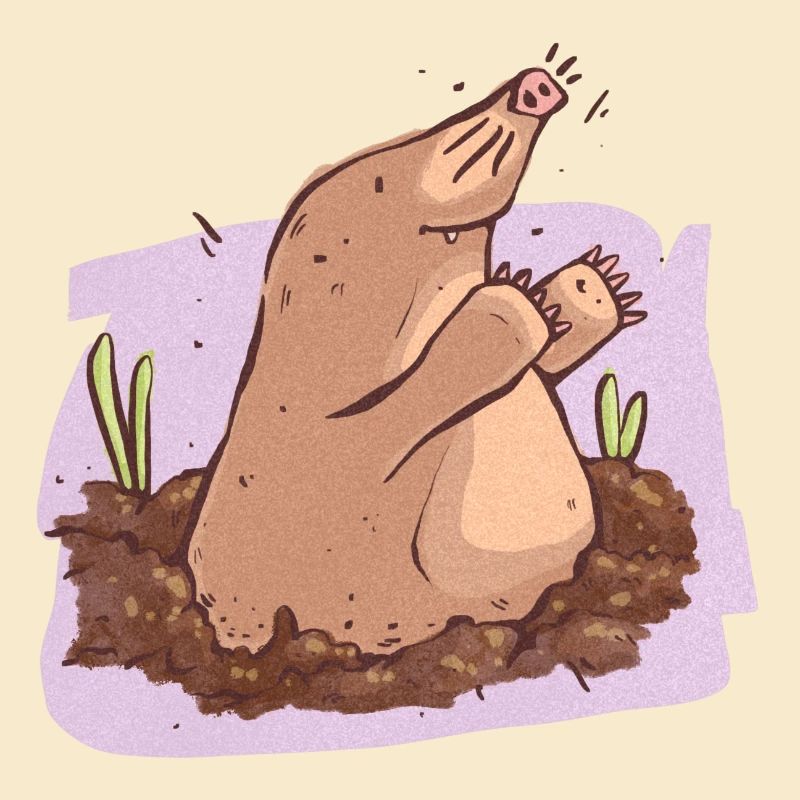 Mole in der Erde