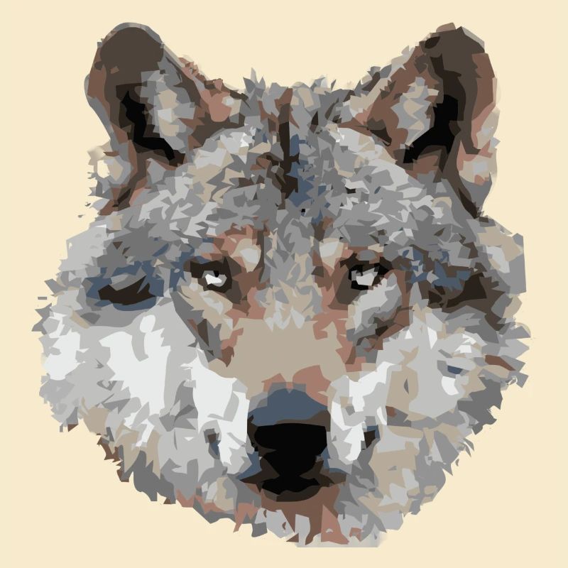 Wolf (grau)