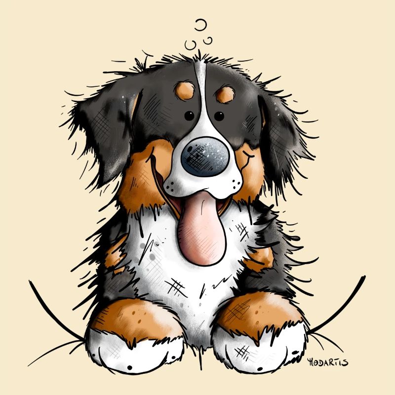 Glücklicher Berner Sennenhund