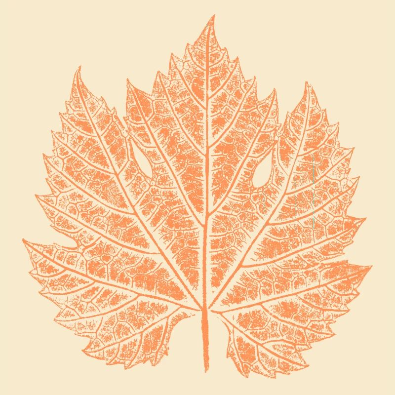 Wine / Leaf / Autumn