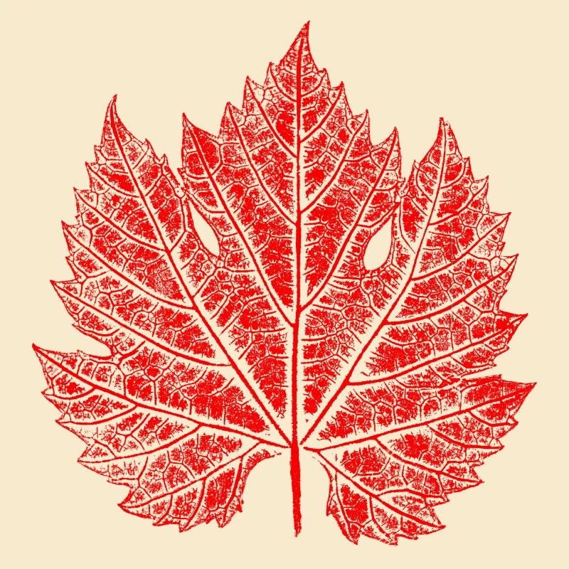 Feuille de vigne / Rouge / Feuille de vin