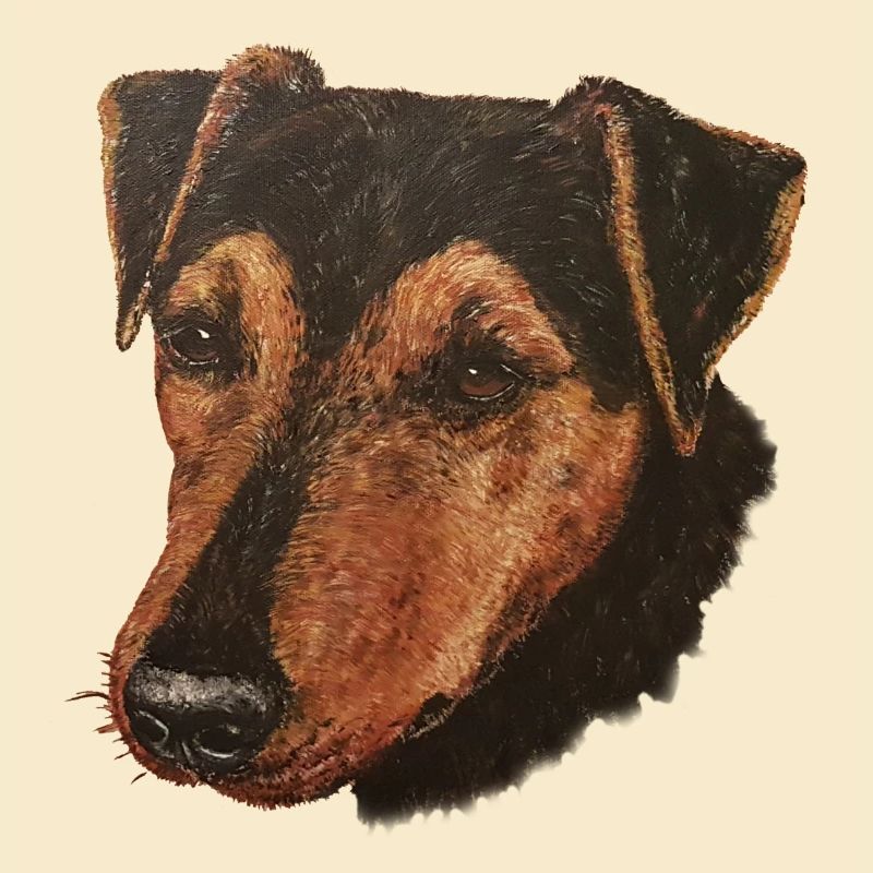 Jagdterrier Portrait