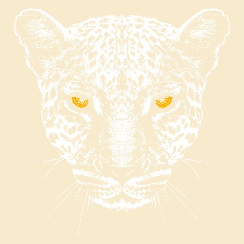 Leopard / Kopf / Augen