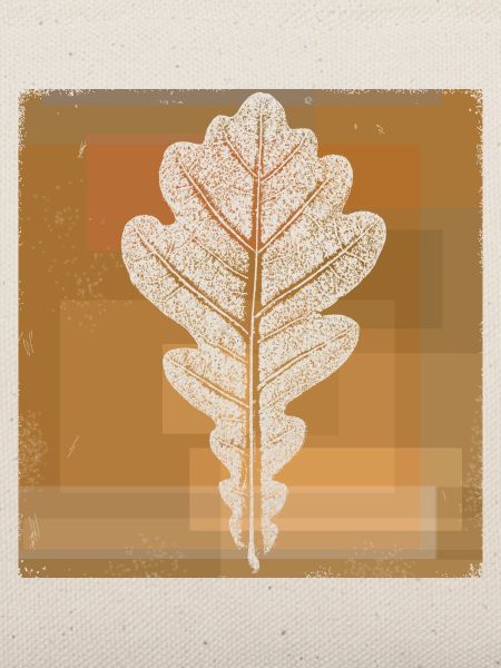 Eichenblatt - Botanisch / Stencil Quadrat Rahmen