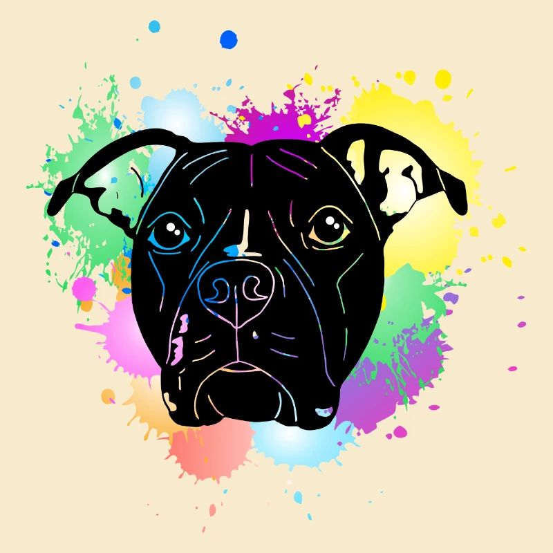Pitbull Terrier mit Splash