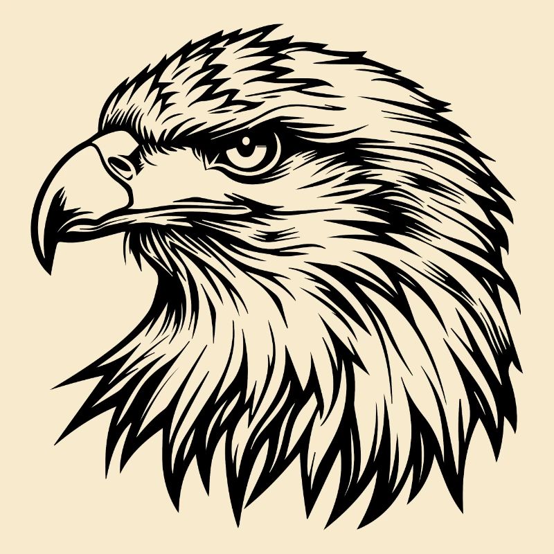 Eagle Eagle Head