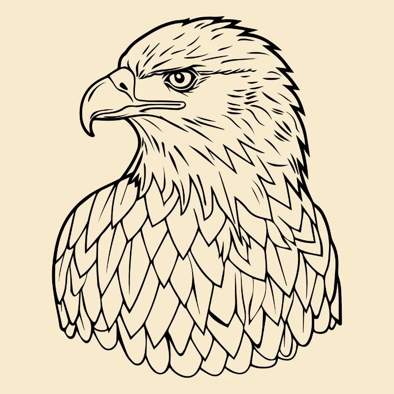 Eagle Eagle Head