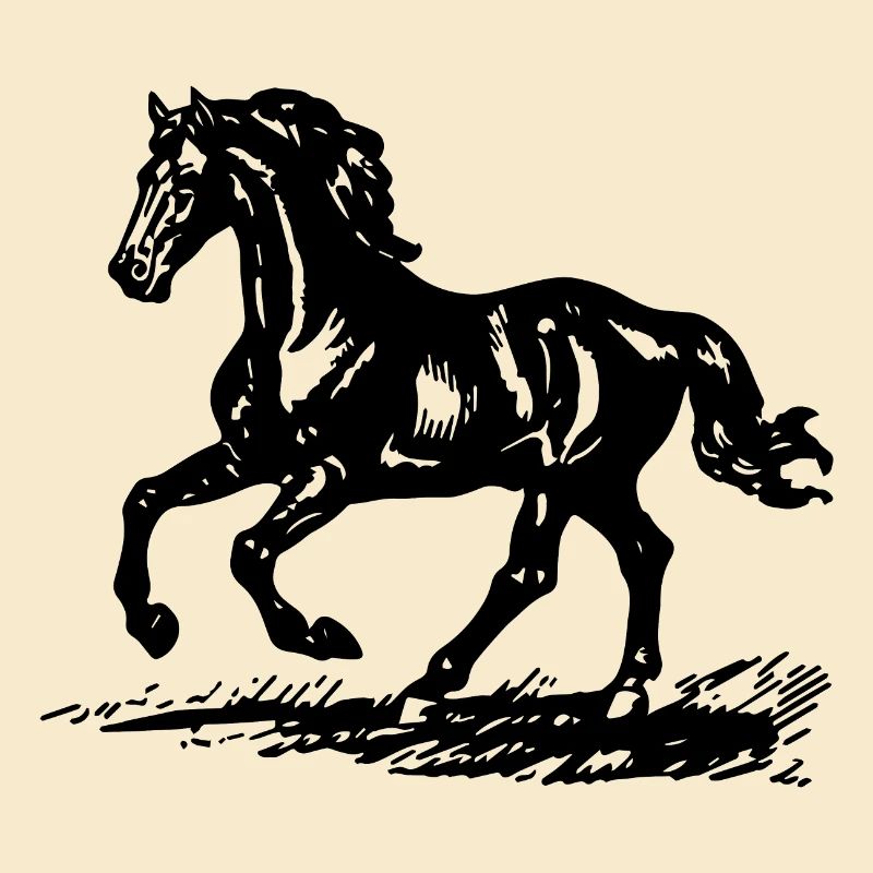 Pferd Pferde Reiten Reiter Reiterin