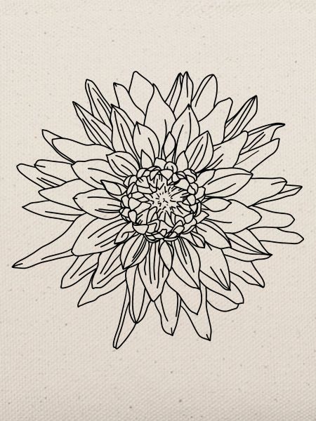 Herbstblume Dahlie