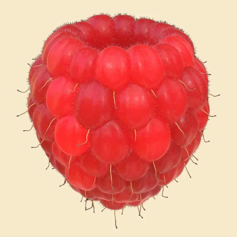 Modèle de grappe de framboises