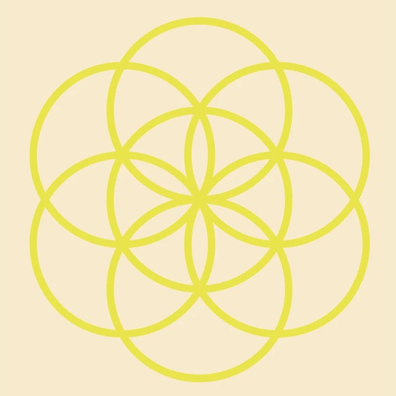 Blume des Lebens - beginning