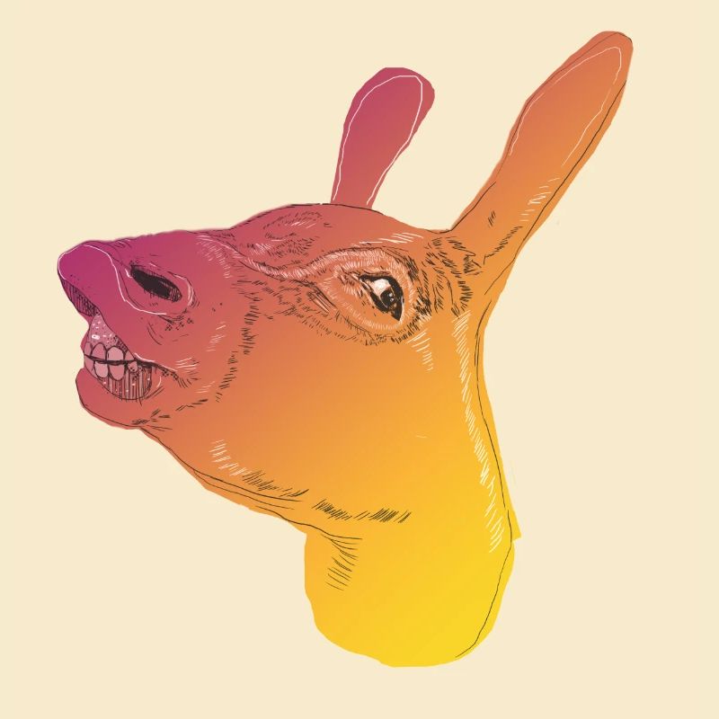 DONKEY