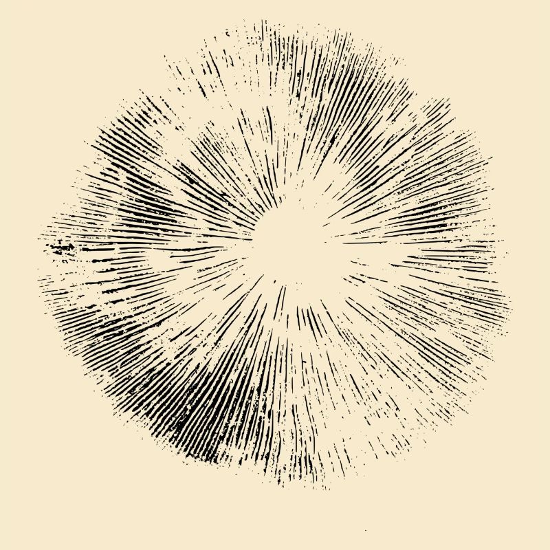 Spore print spore print