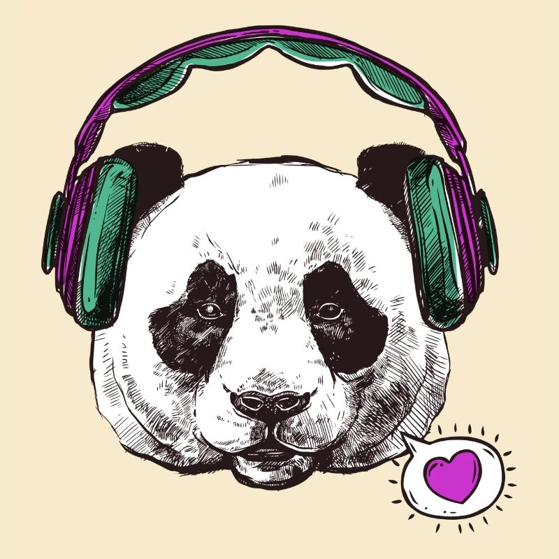 Panda Schwangerschaft