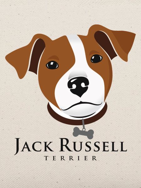 Jack Russell 3