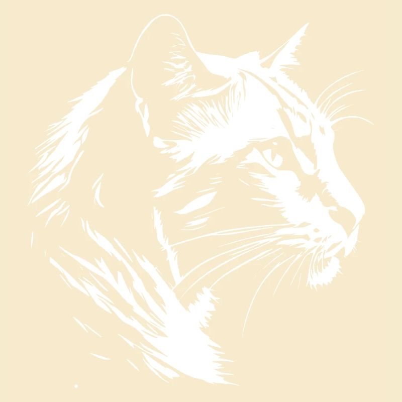 Katze 5