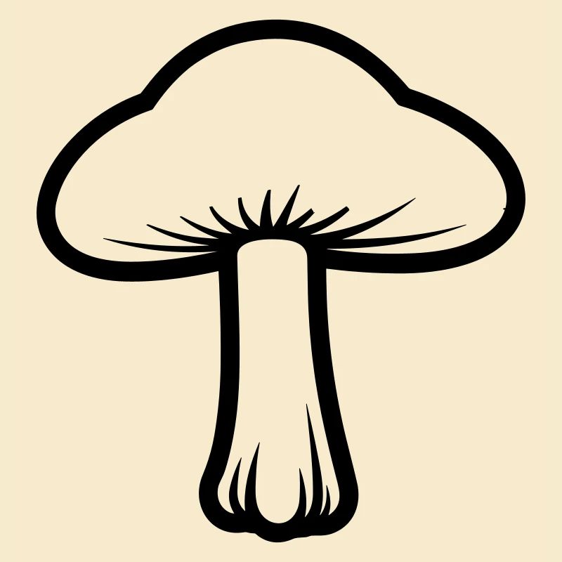 Pilz