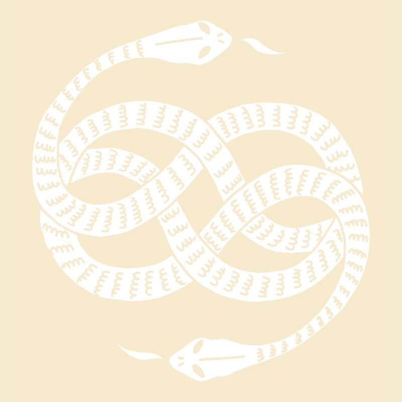 Infinite White Snakes